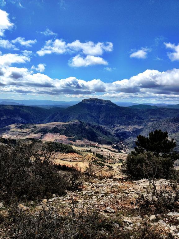 Casas Rurales Vegasierra Bogarra エクステリア 写真
